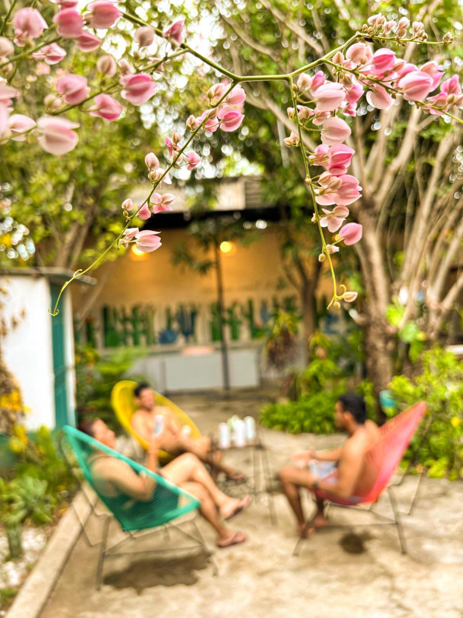 Hostal El Rio León 외부 사진